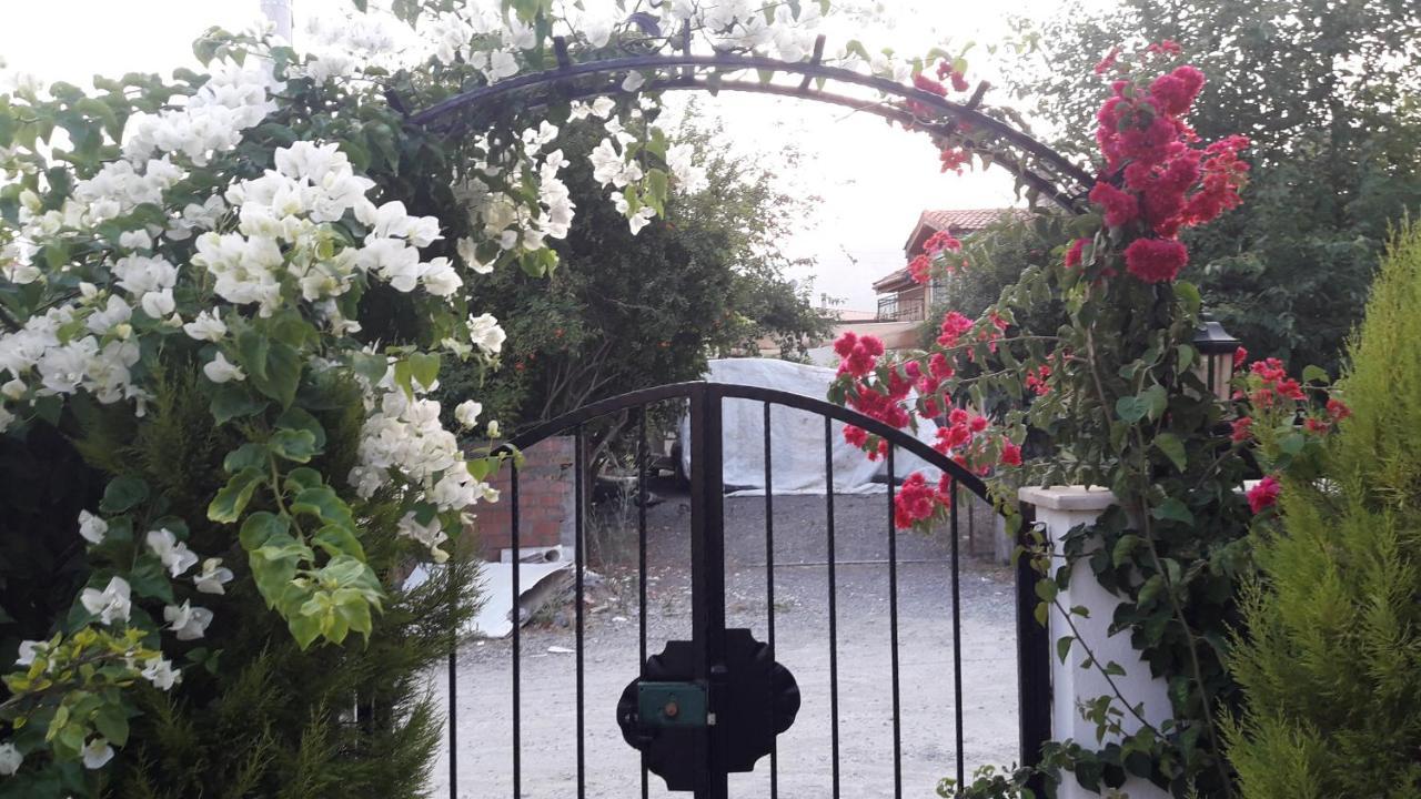 Villa Ebrar Dalyan Mugla Exterior photo