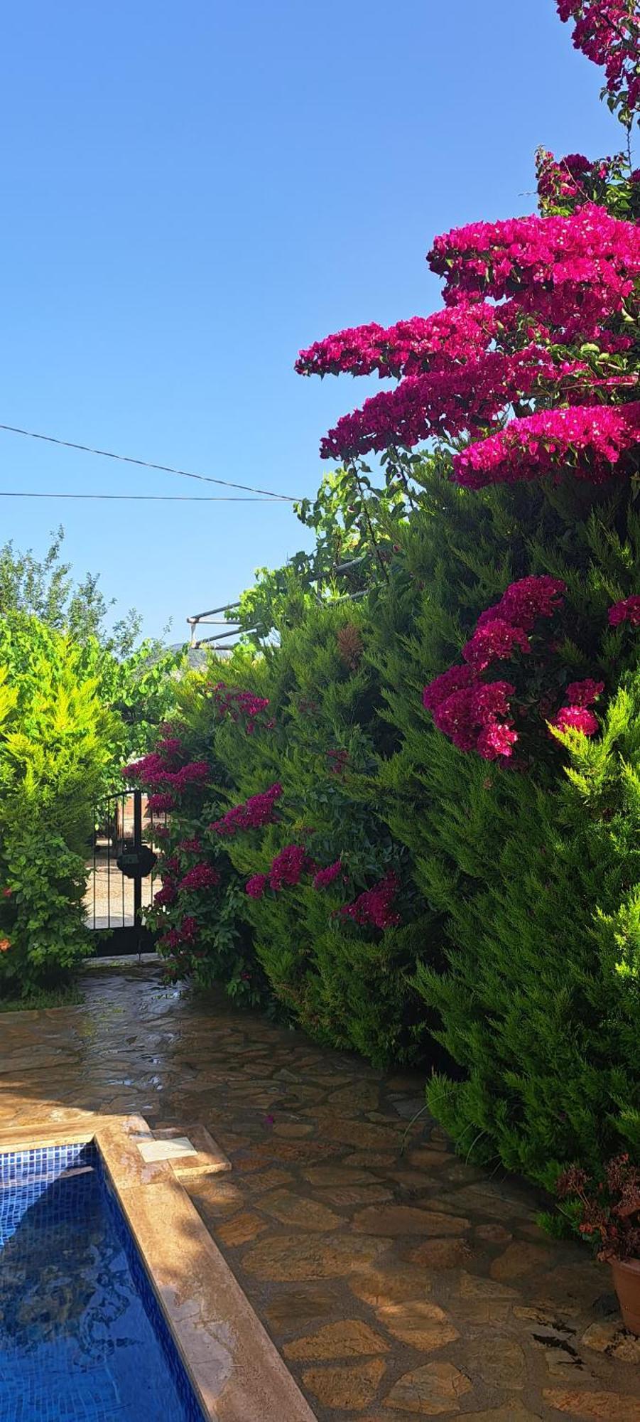 Villa Ebrar Dalyan Mugla Exterior photo